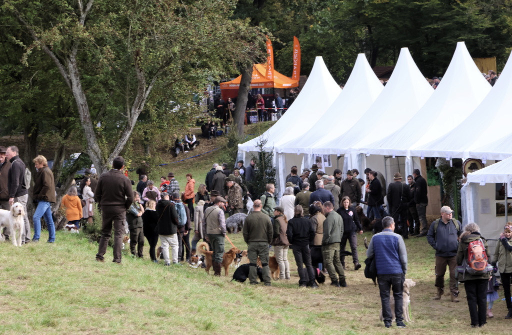 Treffpunkt Hundedorf: In den Pagoden präsentieren sich die verschiedenen Jagdhunderassen und Vereine. Besucher können hier direkt mit Züchtern, Hundeführern und Rassekennern ins Gespräch kommen.