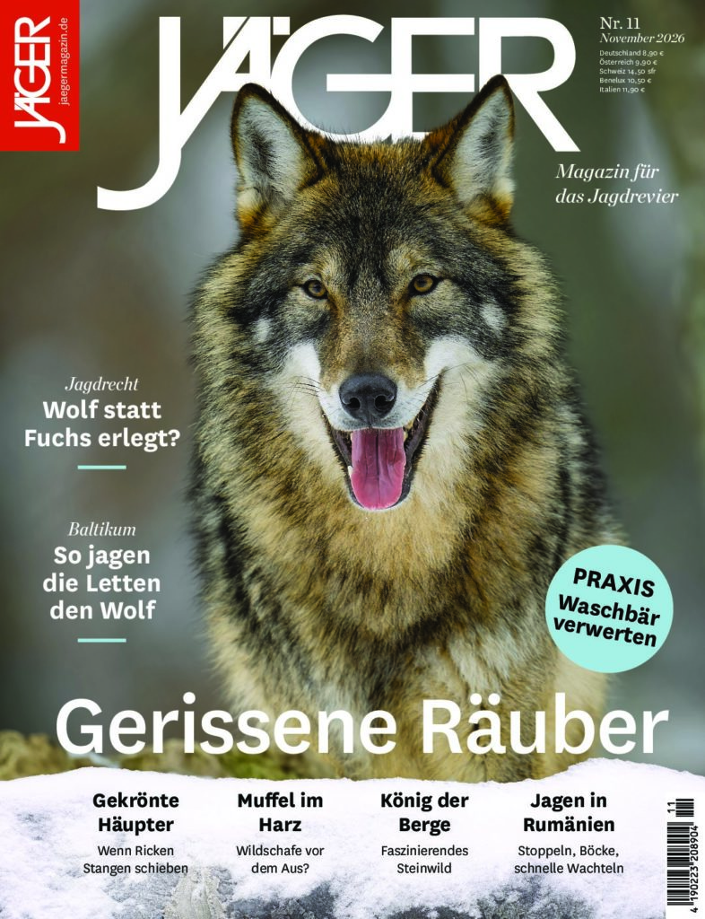 Cover_Titel_Wolf_SB