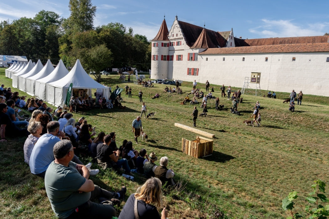 jagdmesse-gruenau-jagdhundevorfuehrung